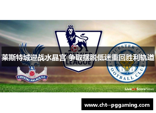 莱斯特城迎战水晶宫 争取摆脱低迷重回胜利轨道 莱斯特城迎战水晶宫 争取摆脱低迷重回胜利轨道