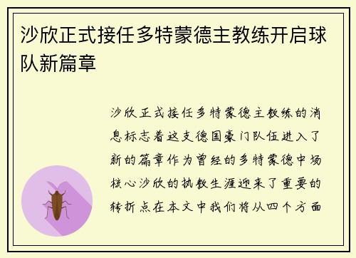 沙欣正式接任多特蒙德主教练开启球队新篇章